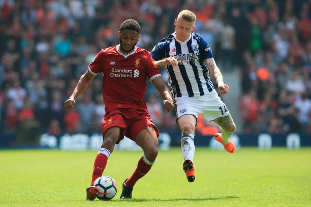 展翅高飞 展翅高飞