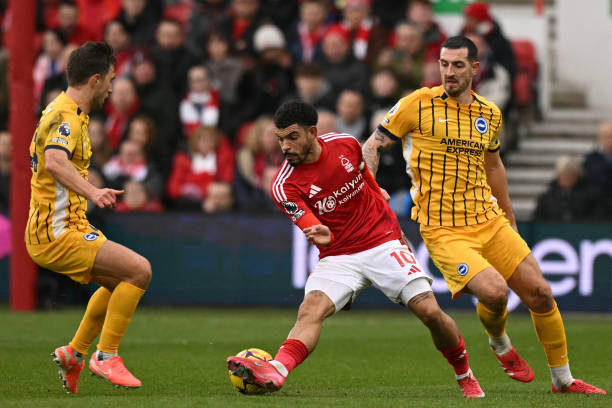 表现也不容 表现也不容